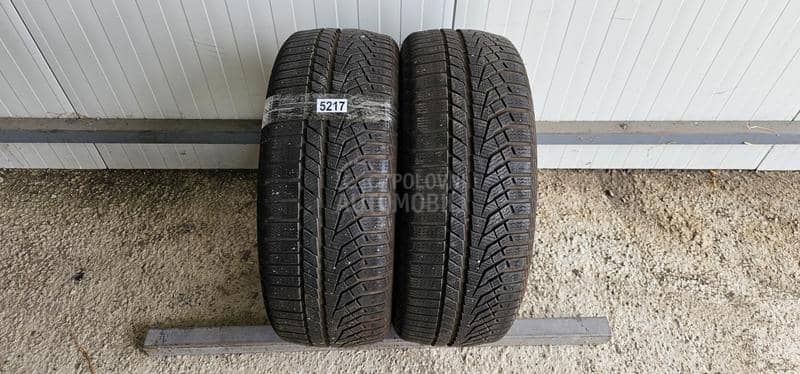 Sailun 225/55 R17 Zimska