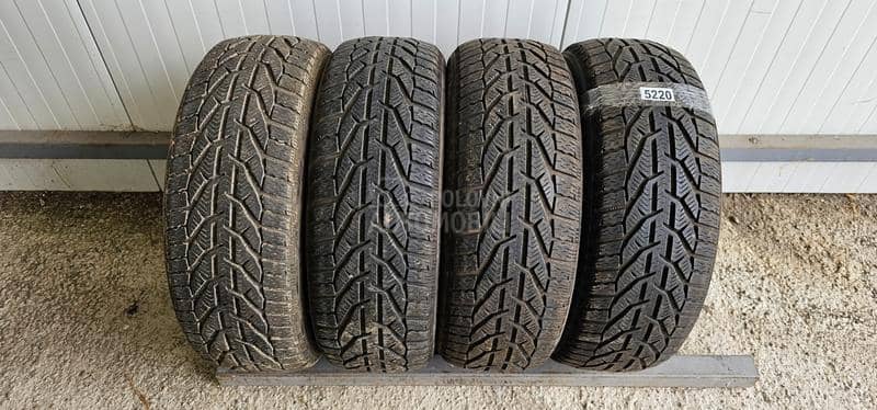 Riken 205/55 R16 Zimska