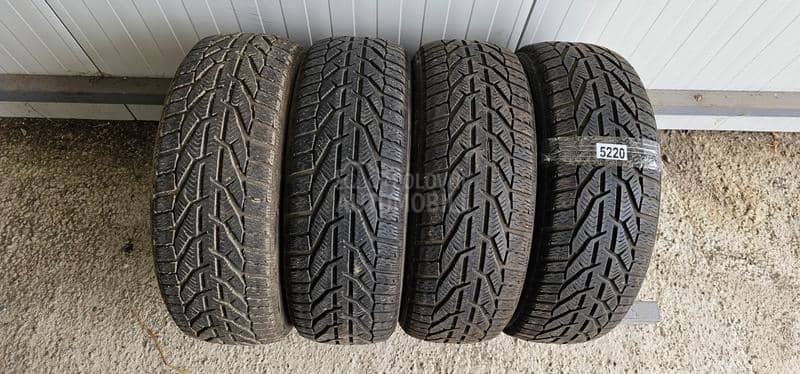 Riken 205/55 R16 Zimska