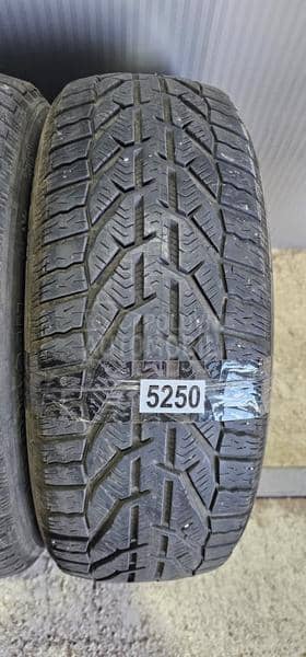 Riken 205/55 R16 Zimska