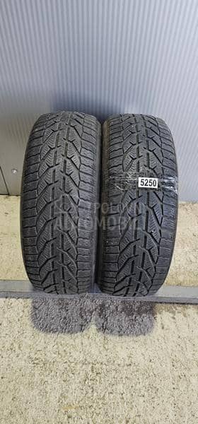 Riken 205/55 R16 Zimska