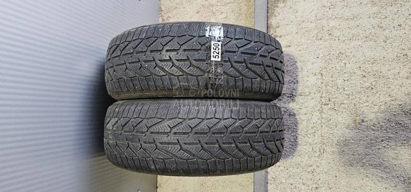 Riken 205/55 R16 Zimska