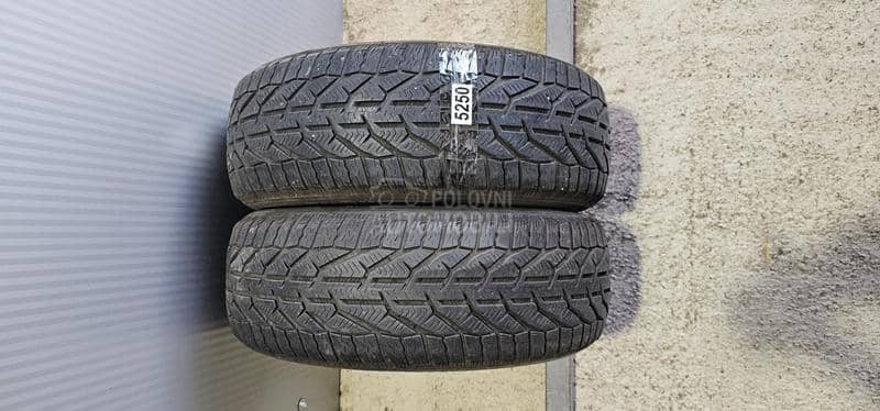 Riken 205/55 R16 Zimska