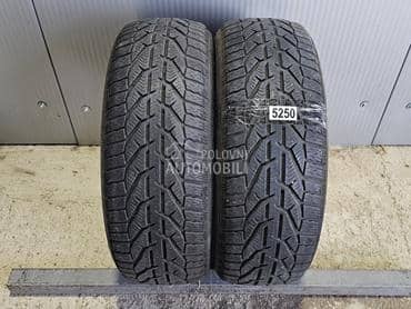 Riken 205/55 R16 Zimska
