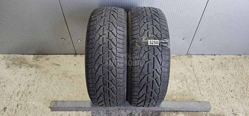 Riken 205/55 R16 Zimska
