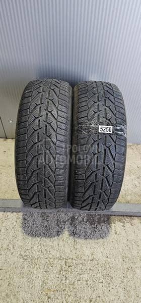 Riken 205/55 R16 Zimska