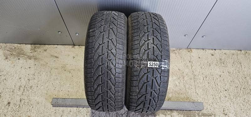 Riken 205/55 R16 Zimska