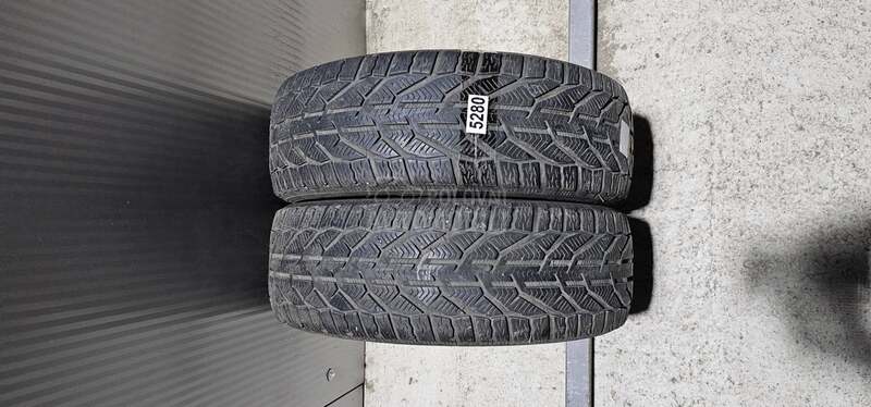 Riken 195/55 R16 Zimska