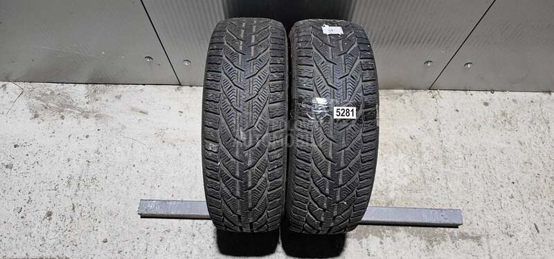 Riken 195/55 R16 Zimska