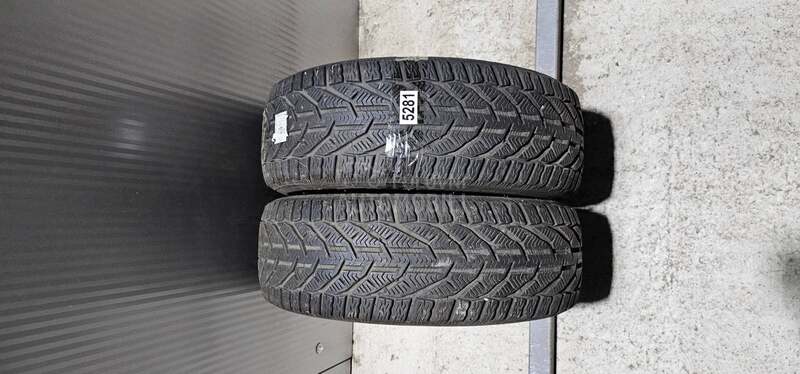 Riken 195/55 R16 Zimska