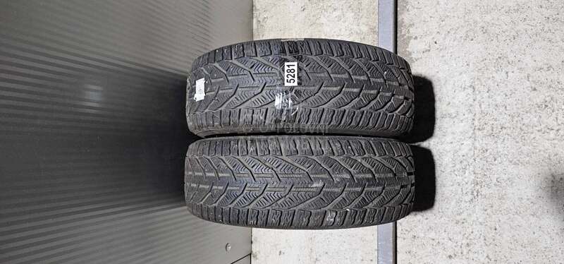 Riken 195/55 R16 Zimska