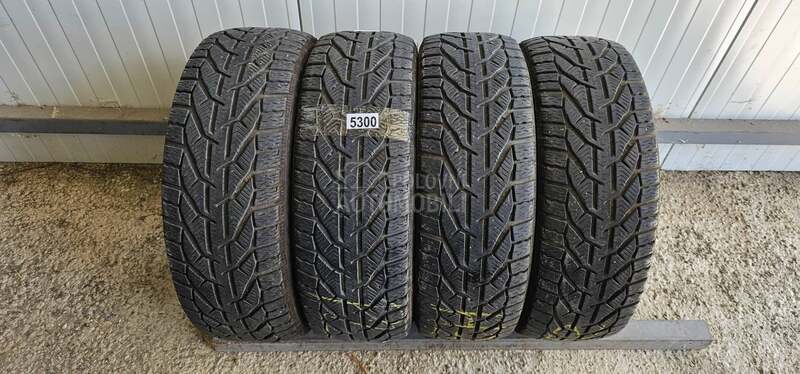 Riken 195/55 R16 Zimska