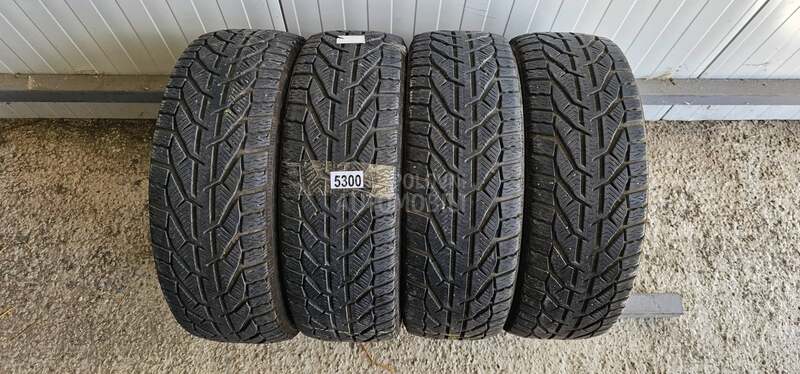 Riken 195/55 R16 Zimska