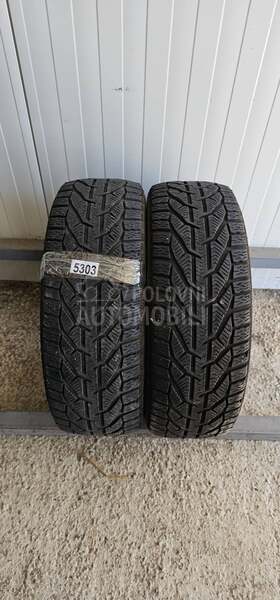 Tigar 195/55 R16 Zimska