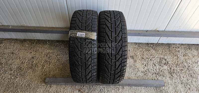 Tigar 195/55 R16 Zimska