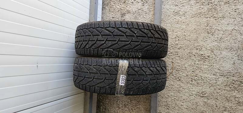 Tigar 195/55 R16 Zimska