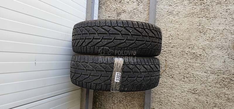 Tigar 195/55 R16 Zimska