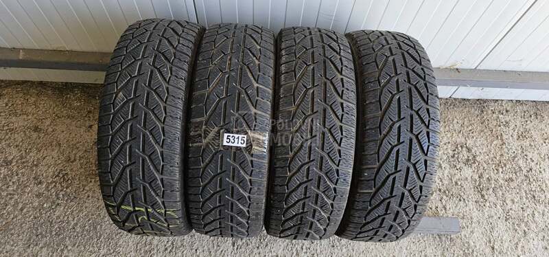 Riken 195/55 R16 Zimska
