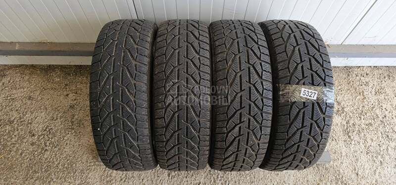 Riken 195/55 R16 Zimska