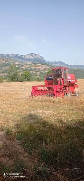 Massey Ferguson 240
