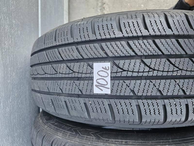 Minerva 225/65 R17 Zimska