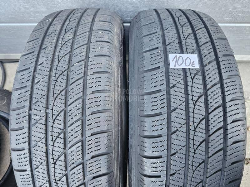 Minerva 225/65 R17 Zimska