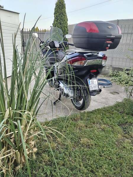 Malaguti Spider Max RS 500