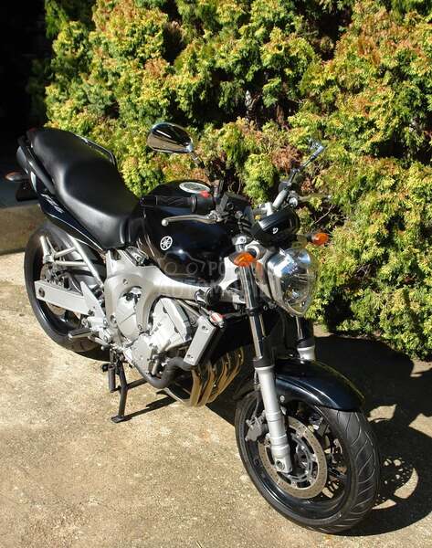 Yamaha FZ6 FZ 6 FAZER FI CH