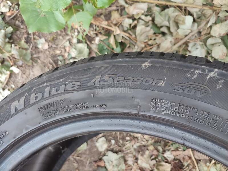 Nexen 225/50 R18 Sve sezone