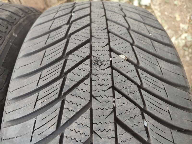 Nexen 225/50 R18 Sve sezone
