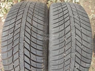 Nexen 225/50 R18 Sve sezone