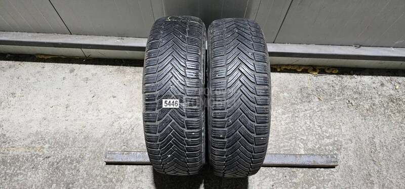 Michelin 195/65 R15 Zimska