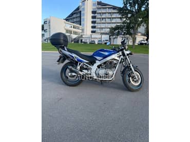 Suzuki gs500 e