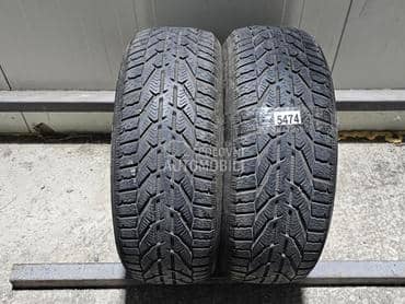 Riken 205/55 R16 Zimska