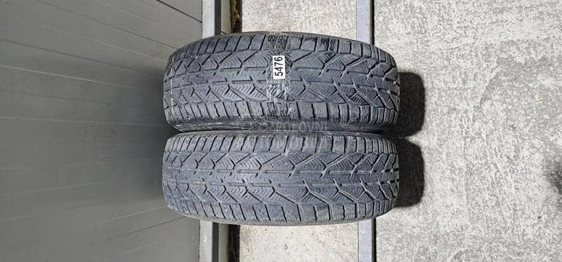 Riken 215/60 R16 Zimska