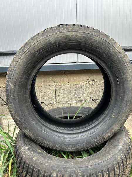 Toyo 225/55 R17 Zimska