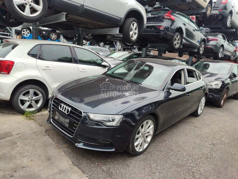 Trap glavcina,rame letva