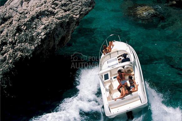 Salpa 21,5 Oyster
