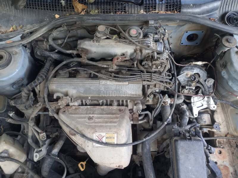 Motor