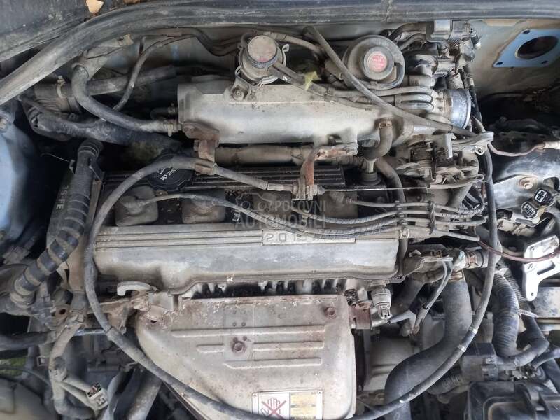 Motor