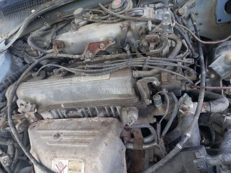 Motor