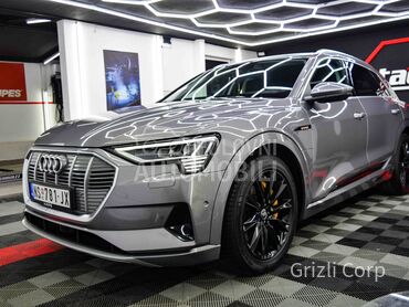 Audi e-tron 55/air/matrix/360