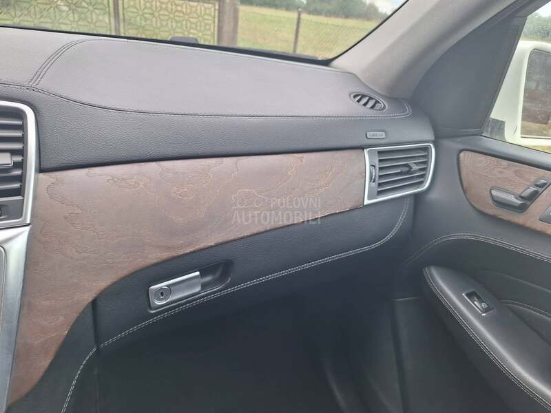 Mercedes Benz ML 250 