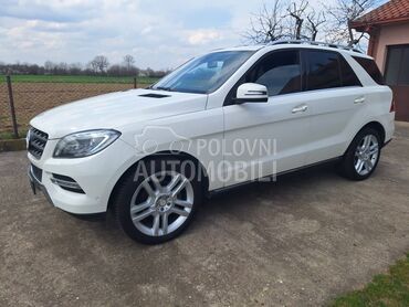 Mercedes Benz ML 250 