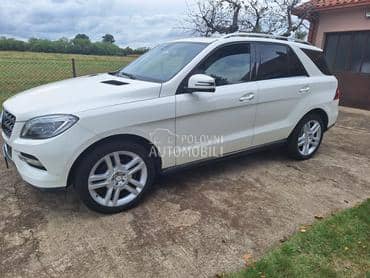 Mercedes Benz ML 250 