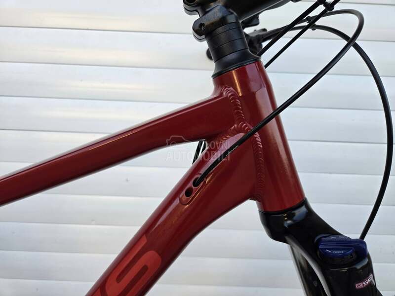 Focus whistler 29