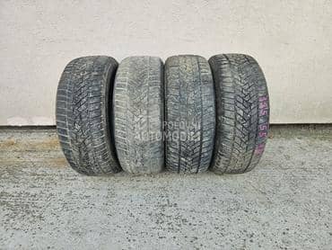 Dunlop 195/55 R15 Zimska