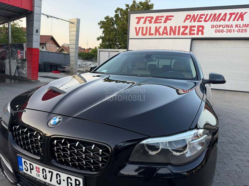BMW 530 xDrive/alpine.grill
