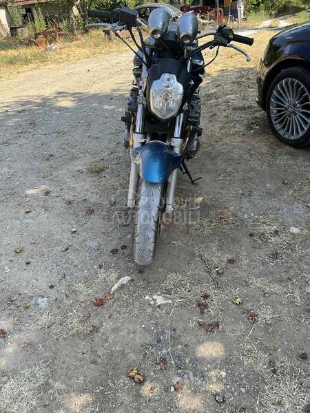 Suzuki bandit