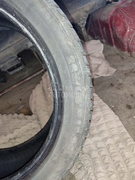 Riken 225/45 R17 Zimska